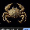 金🦀(ｶﾆ)🦋🩰