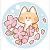 はるちゃん