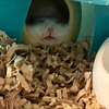 大福