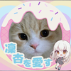 🐰🎧🩵みっと🍑🌸