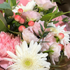 お花畑丸💐
