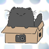 箱ねこ