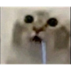 🍼ぺんぽん🩷