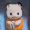 🌸　˚₊‧꒰ა 🐻‍❄️ ໒꒱ ‧₊˚