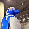 けい