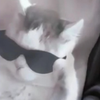 にこいち🛼🩶