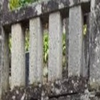まかう