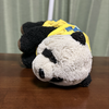 しゅんじ母🤱