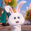 puku🐰