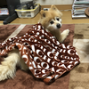 わん