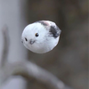 八咫