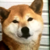 ぺぺ