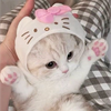 ゆきみゃ
