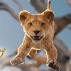 獅子王🦁👑