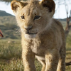 獅子王🦁👑
