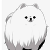 やっぱり犬好き