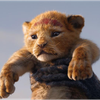 ☀️𝒔𝒊𝒎𝒃𝒂(シンバ)🦁