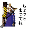 卍 伝説 万 ニャンキー 