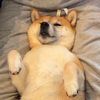 じゃんぼ