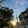 morning sun
