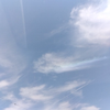 ゆでたまご