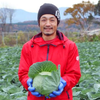 キャベツ農家
