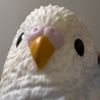 梅干しボーイ