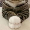 ゆうぽん