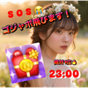 🆘23時ゴジャボ haru🌞🌱