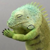 みきのこ