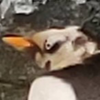 合流