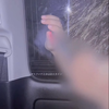 𝑻𝑨𝑰𝑮𝑨
