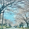 kazu