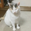 あきろ〜