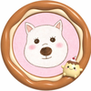 🐶🐾コロン⸜🐶⸝‍