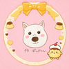 🐶🐾コロン⸜🐶⸝‍