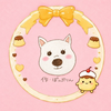 🐶🐾コロン⸜🐶⸝‍