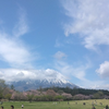 砂糖大好き
