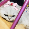 美波那南‎🤍🌺＃ビャンビャン麺