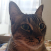 ヒロ