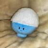 shunsuke