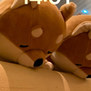 ぱっちょ