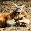 もういっぺん言ってみろ