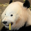 せんいち