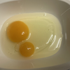 にこる