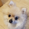naoki