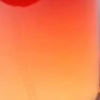 sakkun