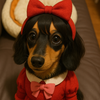 めぐ