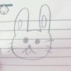 Yぴょん