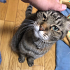 ゆーじあむ😆🌻️